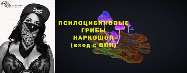 прущий лед Ладушкин