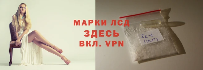 ешки Магас