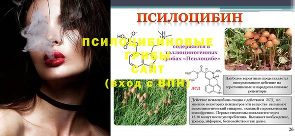 ГАЛЛЮЦИНОГЕННЫЕ ГРИБЫ Липки