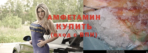 ГАЛЛЮЦИНОГЕННЫЕ ГРИБЫ Липки