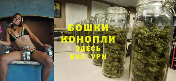 ГАЛЛЮЦИНОГЕННЫЕ ГРИБЫ Липки