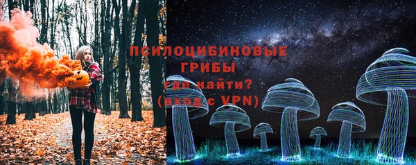 мдпв Лагань