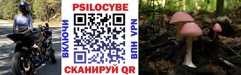 Галлюциногенные грибы Magic Shrooms  сколько стоит  Мурино 
